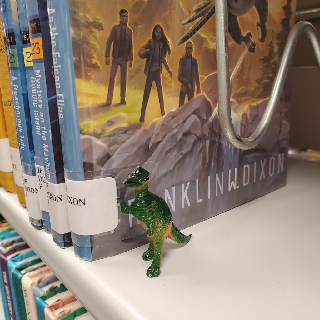 Tiny dinosaur hiding in the stacks.